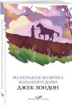 Маленькая хозяйка Большого дома — изображение 2