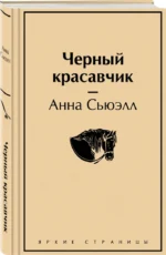 Черный красавчик — изображение 2
