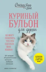 Куриный бульон для души. Не могу поверить, что это сделала моя кошка! 101 история. Джек Кэнфилд, Кваша Дженнифер, Хансен Марк Виктор