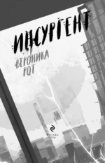 Инсургент — изображение 5