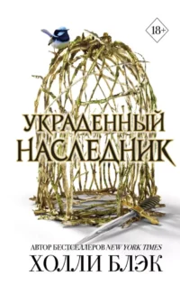 Принц Эльфхейма. Украденный наследник. Холли Блэк