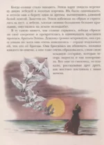 Гадкий утёнок. Сказки — изображение 6