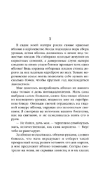 Самое красное яблоко — изображение 4