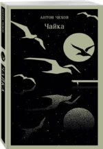 Чайка — изображение 2