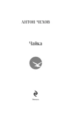 Чайка — изображение 4