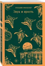 Звук и ярость — изображение 2