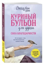 Куриный бульон для души. Сила благодарности. 101 история о том, как благодарность меняет жизнь — изображение 2