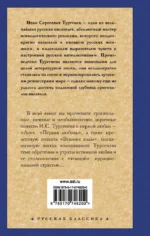 Ася. Первая любовь. Вешние воды — изображение 2