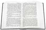 Голодные игры. И вспыхнет пламя. Сойка-пересмешница — изображение 3