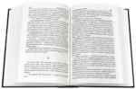 Голодные игры. И вспыхнет пламя. Сойка-пересмешница — изображение 4