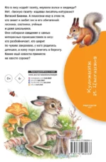 Лесная газета — изображение 2