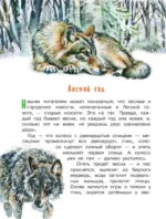 Лесная газета — изображение 3