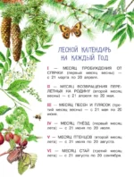 Лесная газета — изображение 5