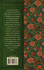 Приключения Тома Сойера — изображение 2
