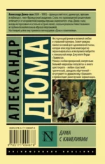Дама с камелиями — изображение 2