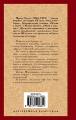 Муки и радости. Биографический роман о Микеланджело — изображение 2
