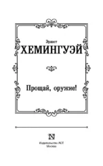 Прощай, оружие! — изображение 4