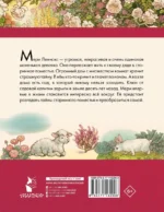 Таинственный сад — изображение 2