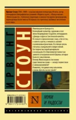 Муки и радости. Биографический роман о Микеланджело — изображение 2