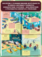 Отель Большой жук — изображение 5