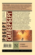 Человек в лабиринте — изображение 2