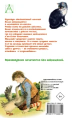 Чудесное путешествие Нильса с дикими гусями — изображение 2