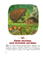 Ёжик Молчок, или История дружбы — изображение 2