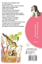 Лесные рассказы — изображение 2