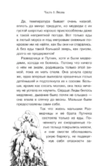 Король медведей — изображение 5