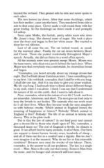 Animal Farm — изображение 5