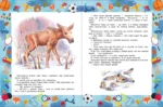 Лучшие сказки и игры на круглый год — изображение 3
