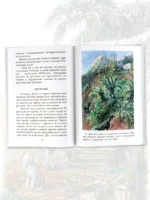 Удивительные приключения Робинзона Крузо — изображение 5