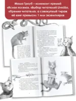 Кот Тихон возвращается домой — изображение 4
