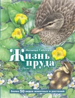 Жизнь пруда. Габеева Наталья Михайловна