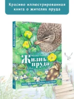 Жизнь пруда — изображение 2