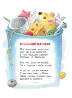 Большой карман — изображение 4
