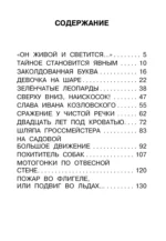 Девочка на шаре. Рассказы — изображение 3