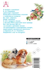 Четыре желания. Рассказы и сказки — изображение 3