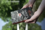 Дальняя дорога — изображение 4