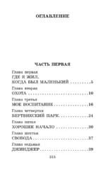 Черный красавчик — изображение 3