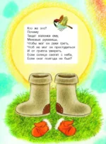 Про мимозу — изображение 5