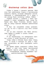 Как правильно любить собак. Рассказы — изображение 4