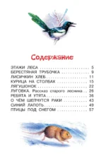 Лисичкин хлеб. Рассказы — изображение 4