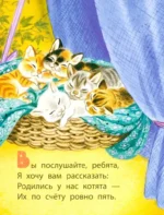Котята — изображение 5