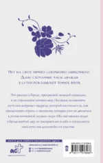 Брида — изображение 2