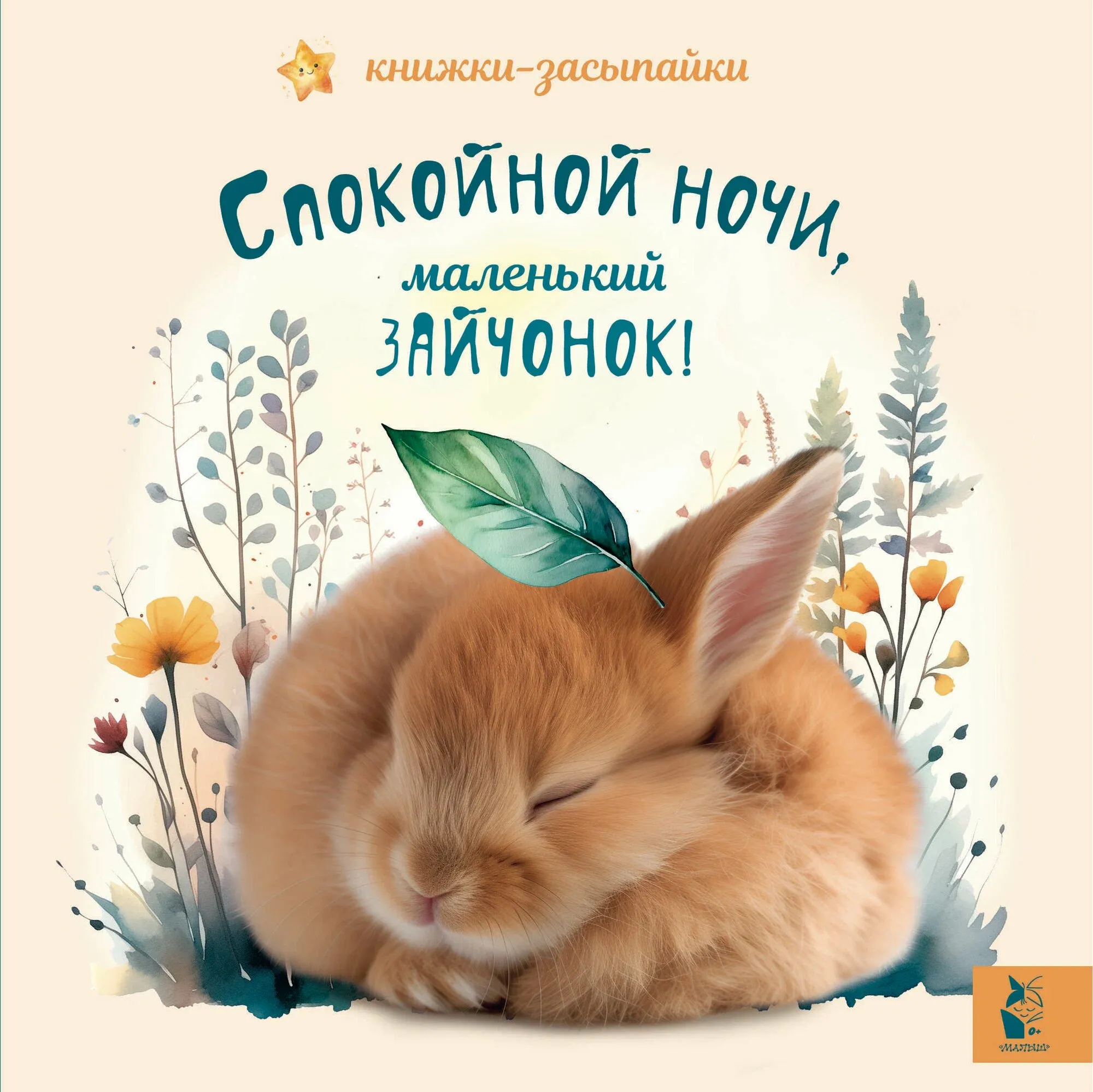 9785171587260_0 Спокойной ночи, маленький зайчонок!