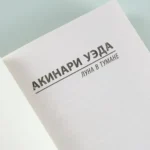 Луна в тумане — изображение 5