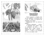 Мышонок Пик. Сказки и рассказы — изображение 5
