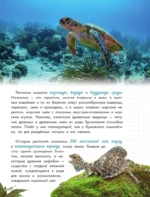 Змеи, ящерицы, черепахи — изображение 4