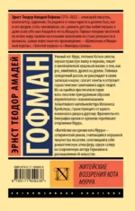 Житейские воззрения кота Мурра — изображение 2